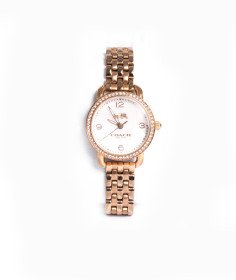 Montre Coach Delancey pour femme 14502479